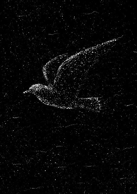 Free creativity thinking nature illustration