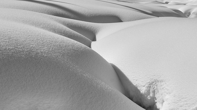 Free Snow Landscape photo and picture