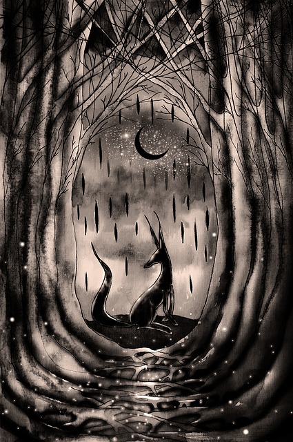 Free forest a fox night sky illustration