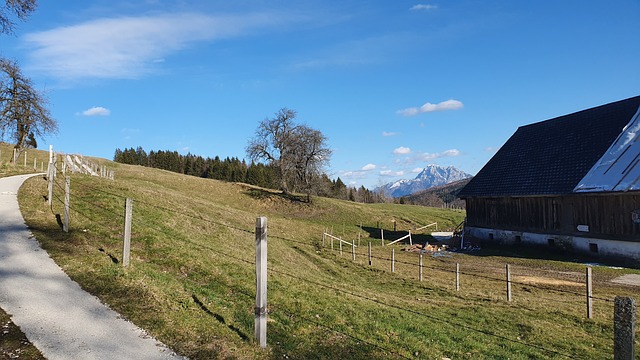 Free Hiking Nature photo and picture