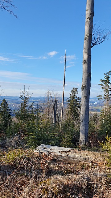 Free Hiking Mountain photo and picture