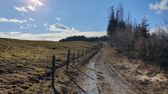 Free Hiking Mountain photo and picture