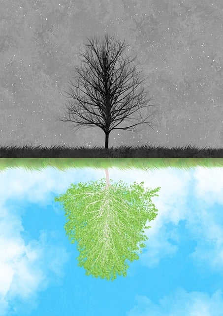 Free creativity imagination fantasy illustration