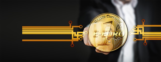 Euro, E-Euro, Kryptovaluta