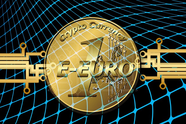 Euro, E-Euro, Kryptovaluta