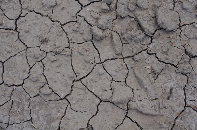Free Cracked Ground Cracked Mud photo and picture
