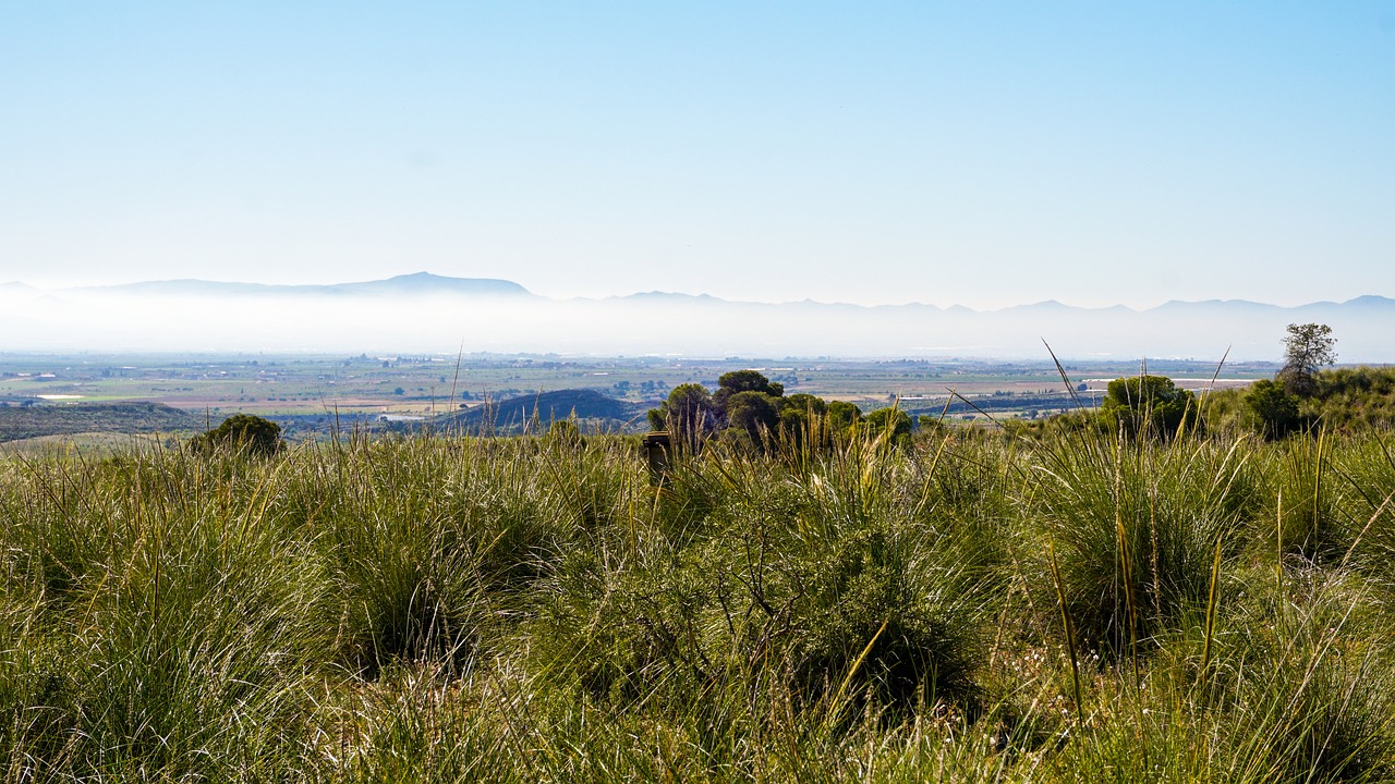 Paisaje rural de Murcia