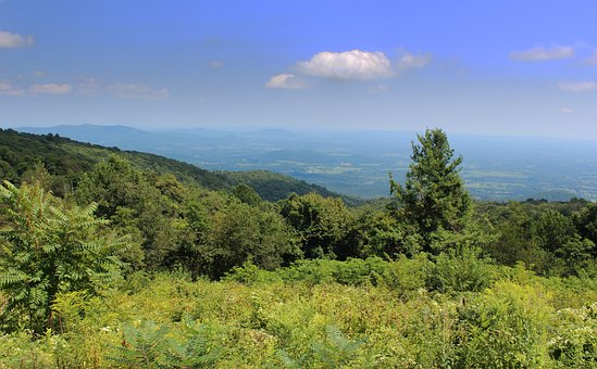 Shenandoah-Tal, Skyline-Fahrt, Virginia