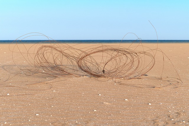 Free Landscape Abstract photo and picture