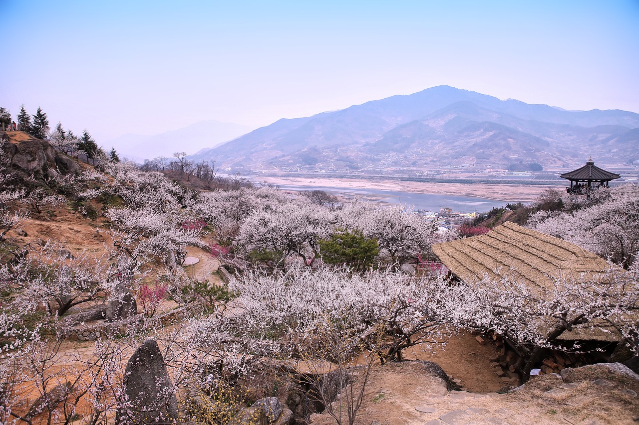 Plum Village Gwangyang Perjalanan Foto gratis di Pixabay Pixabay