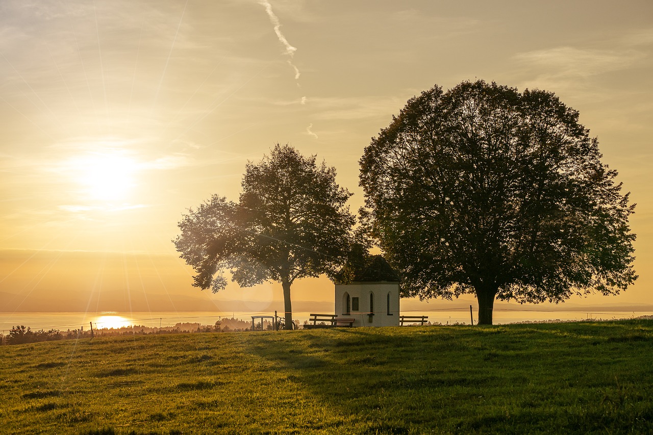 Sunrise - free online jigsaw puzzle photo