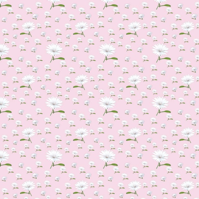 Free Background Daisy illustration and picture