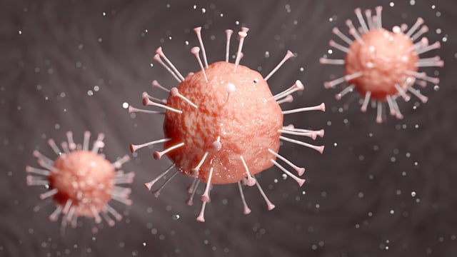 Download free HD stock image of Corona Virus Free corona virus corona virus illustration