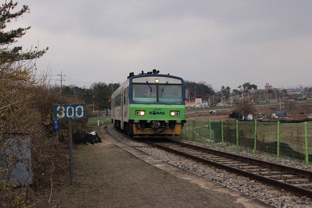 Free Korea Railroad photo and picture
