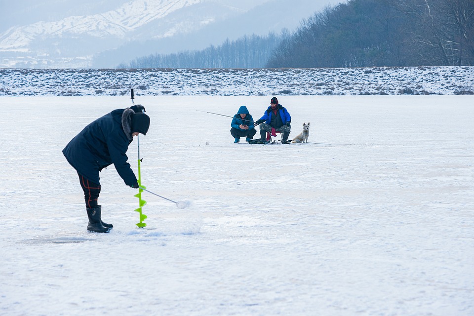 Hooked on Catfish: Understanding the Best Seasons for Fishing Success