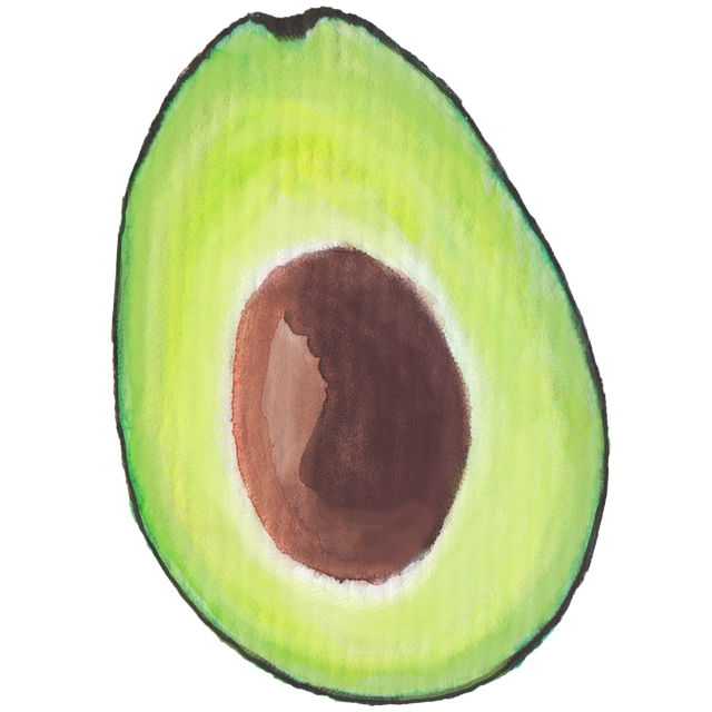Free avocado green fruit illustration