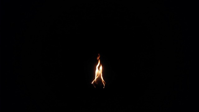 Free Fire Light photo and picture