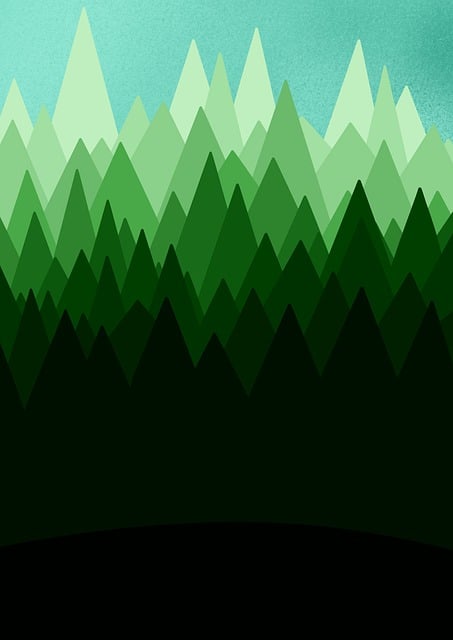 Free forest trees nature illustration