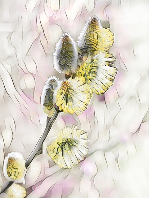 Free willow catkin digital painting yellow illustration