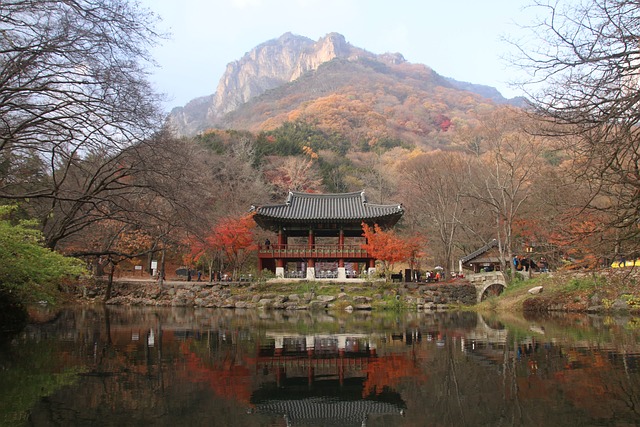 백양사 절 단풍 - Pixabay의 무료 사진 - Pixabay