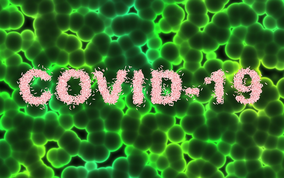 Résultat de recherche d'images pour "covid 19"