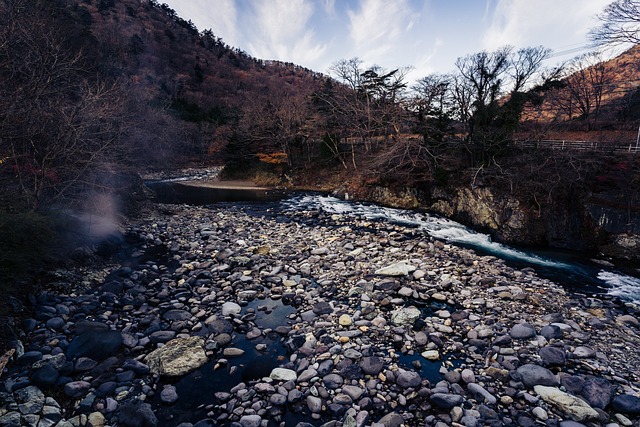 Free River Camp photo and picture