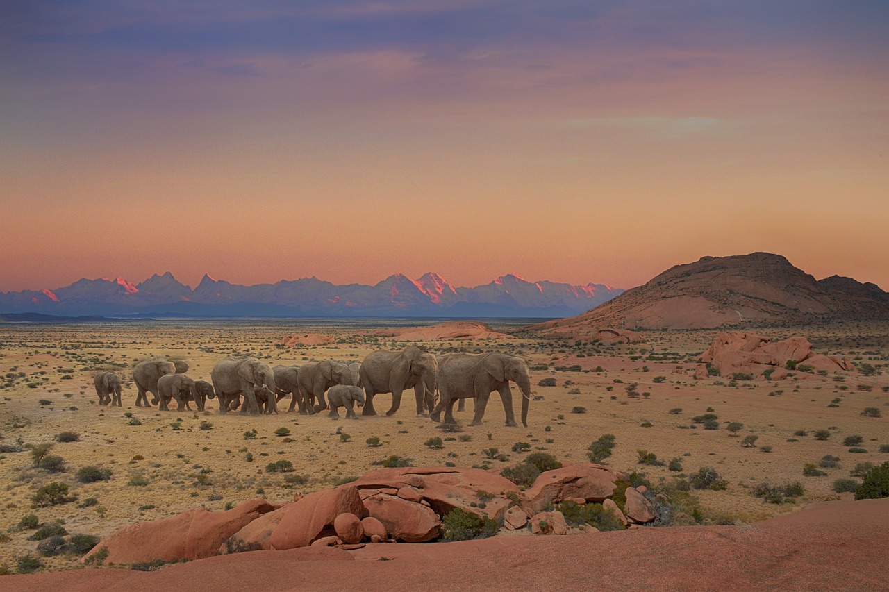 Landscape - free online jigsaw puzzle photo
