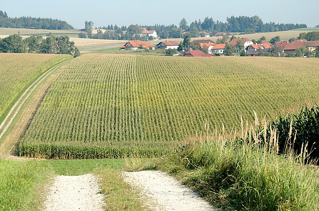 Free Landscape Expanse photo and picture