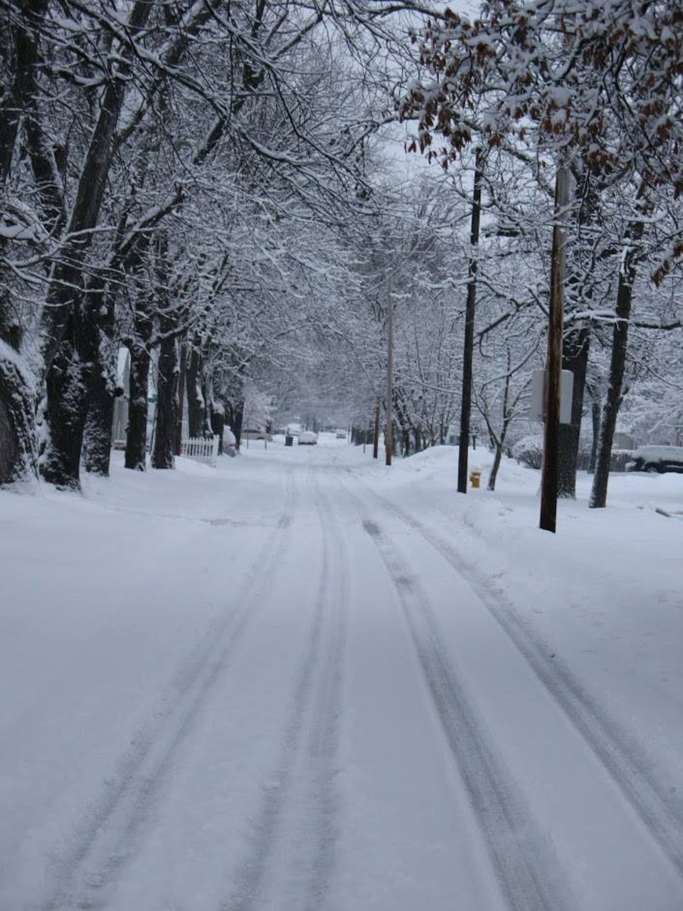 Snow Snowing Street Free photo on Pixabay Pixabay