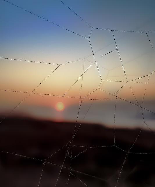 Sonnenuntergang, Sonnenaufgang, Zahlen