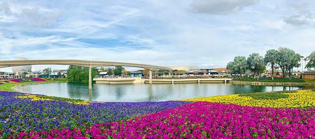 florida, disney, disney world, epcot, orlando, tourism, vacation, travel, outdoors, reflection, flower background, flowers, tranquil, scenery, scenic, landscape, panorama, panoramic, garden, blossom, peaceful, beautiful flowers, floral, walt disney world, flower wallpaper, nature, monorail
