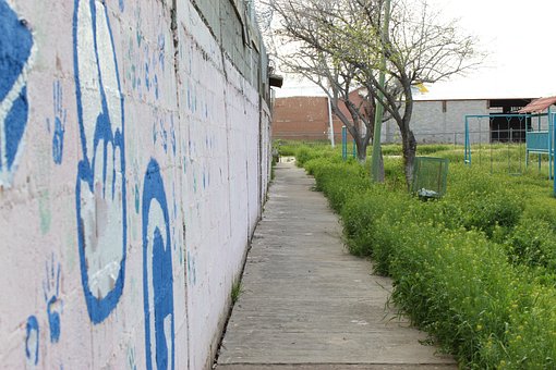パス, 落書き, 歩く, 都市, 壁画, 公園, 歩道