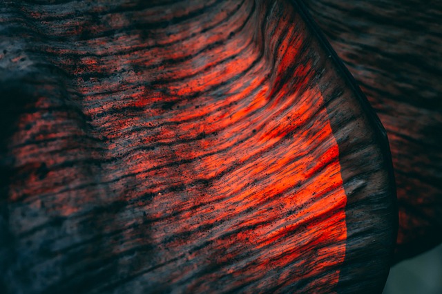 Textur, Blatt, Rot, Muster, Herbst