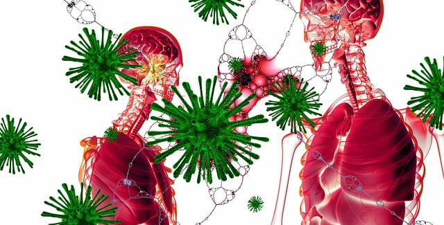 Coronavirus, Sars-Cov-2, Lunge