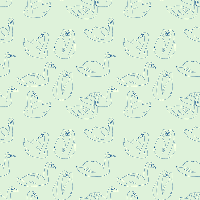 Free swan bird blue illustration