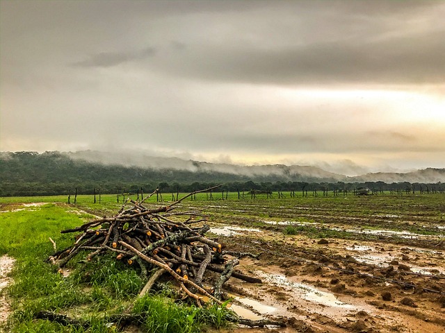Free Farm Rain photo and picture