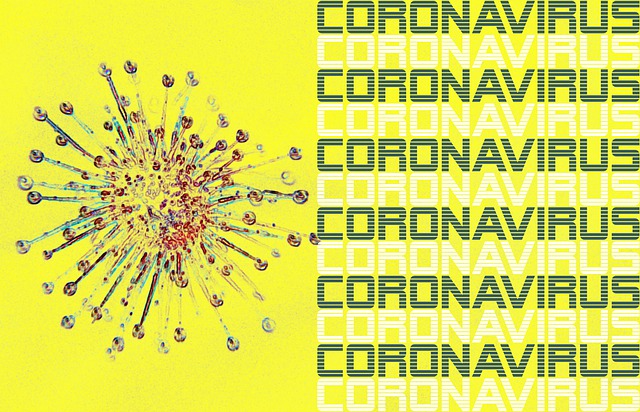 Free corona viruses corona-virus coronavirus illustration