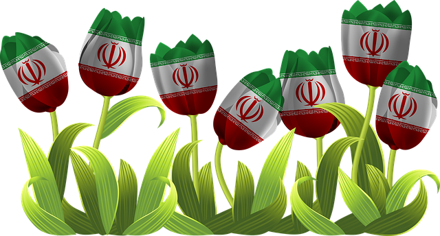 Free tulips iran tajikistan illustration
