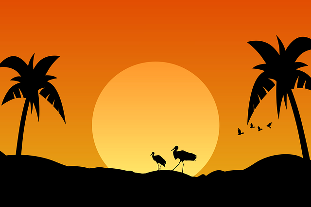 Free sunset nature beach illustration