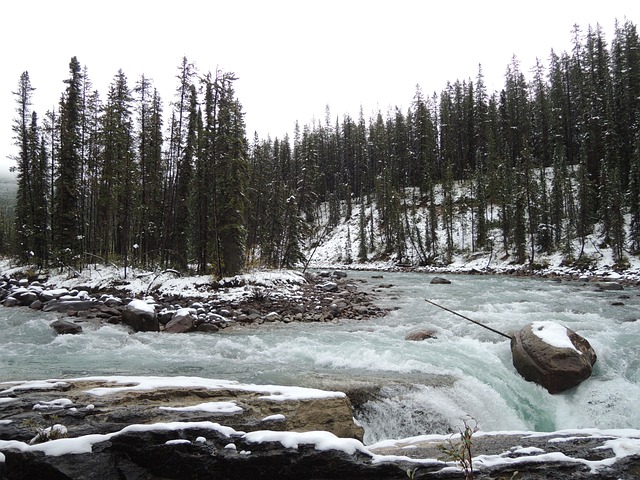 Free Sunwapta Falls photo and picture