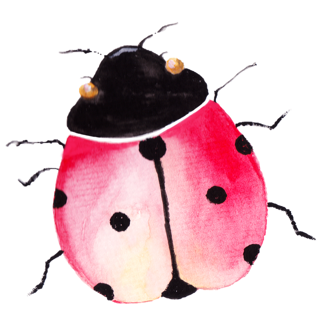 Free lady bud red black illustration