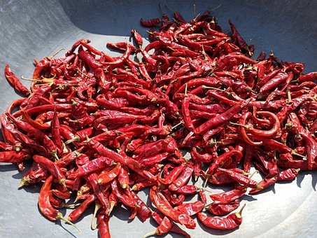 Free Red Chili Dried photo and picture