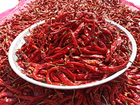 Free Nature Dry Chili photo and picture