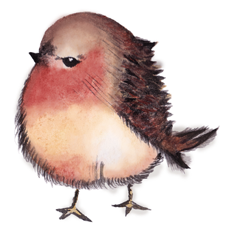 Vogel, Fett, Tier, Fliege, Niedlich