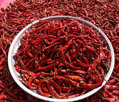 Free Red Chili Dried photo and picture