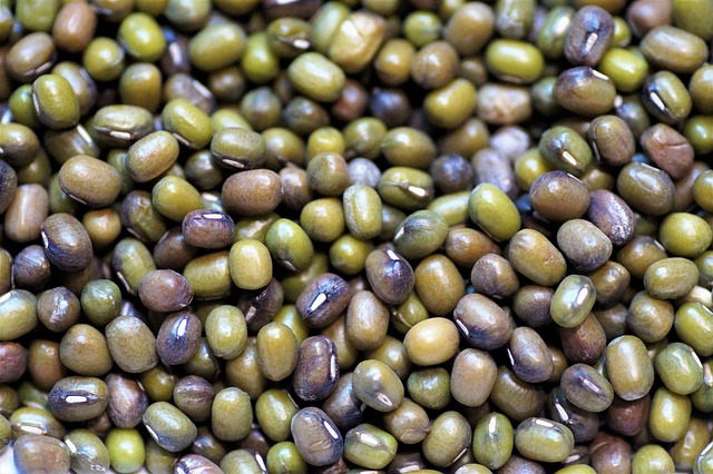 Mungo, ถั่ว, Vigna ทอง, Legumes