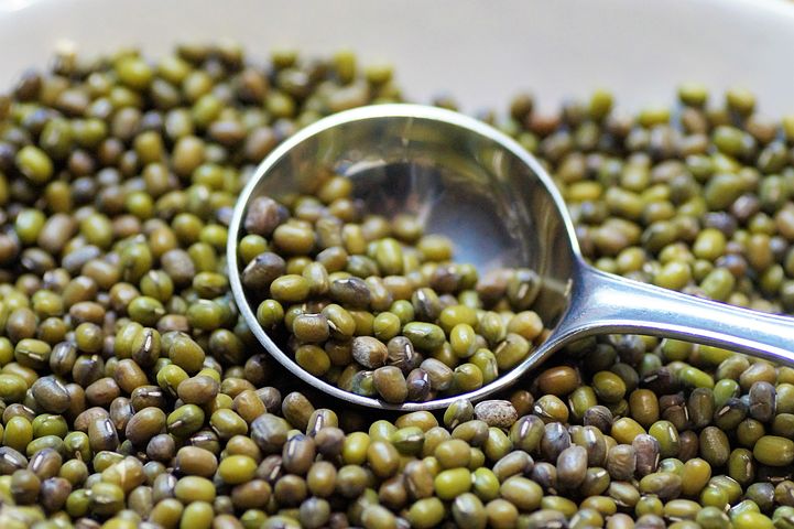 Mungw 20+ Free Munger & Mung Beans Images - Pixabay