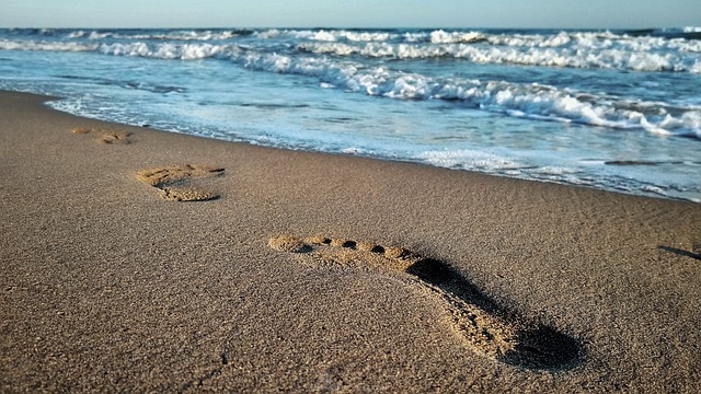 Free The Sea Beach photo and picture