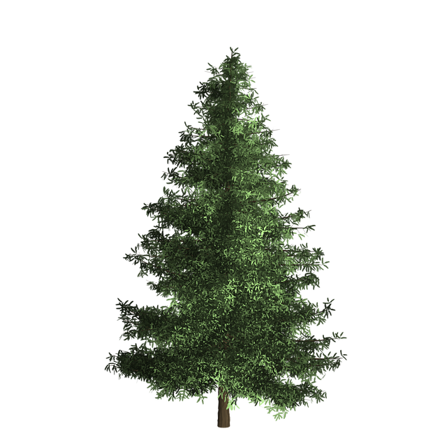 Download free HD stock image of Tree Nature Free tree nature bush illustration