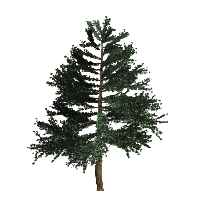 Free tree nature bush illustration
